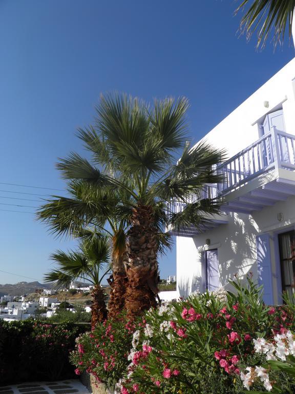 Anastasios Sevasti Hotell Mykonos Town Exteriör bild