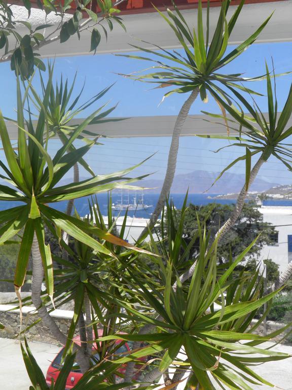 Anastasios Sevasti Hotell Mykonos Town Exteriör bild